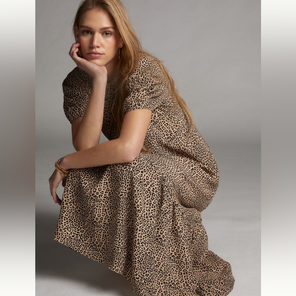 Anthropologie Leopard Print Maxi Dress - Size 2X
